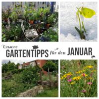 Gartentipps für den Januar