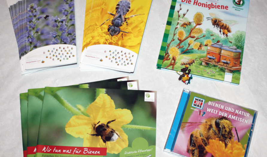 Umweltbildung mit dem Bienenkoffer: Printprodukte und CD
