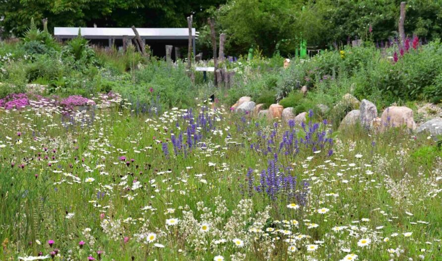 Naturgarten in Berlin-Reinickendorf. Die Initiative „Deutschland summt!“ bietet unter anderem Vorträge zum bienenfreundlichen Gärtnern an.