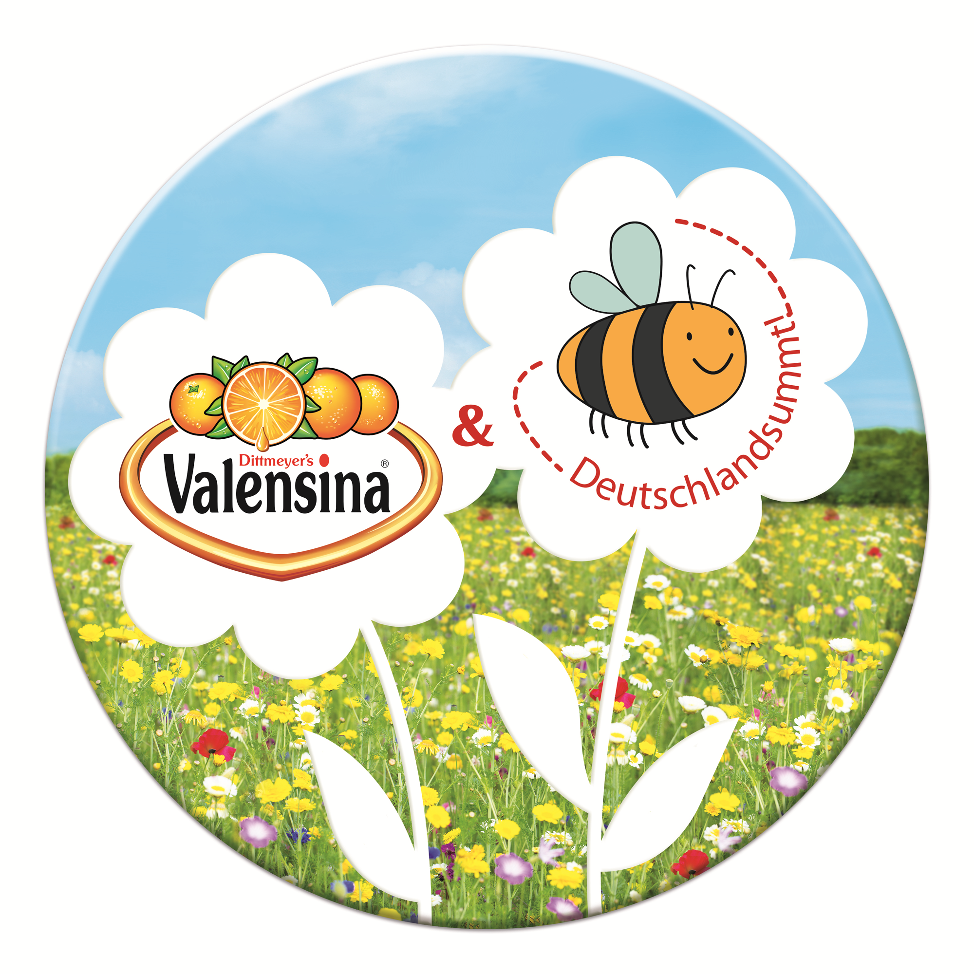 Valensina-Koop-Logo