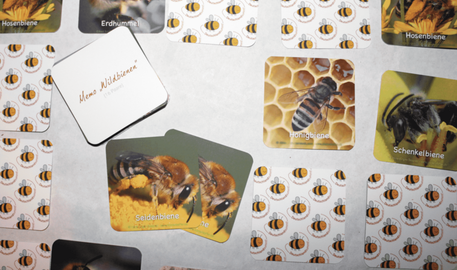 Umweltbildung mit dem Bienenkoffer: Memo-Spiel zu Wildbienen