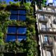 Urbane Fassadenbegrünung für mehr Artenvielfalt und Klimaschutz