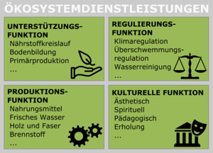 Schaubild: Die vier Typen von Ökosystemdienstleistungen