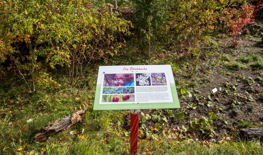 Schaugarten Treptow, Herbst 2021