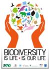 Logo International Year of Biodiversity