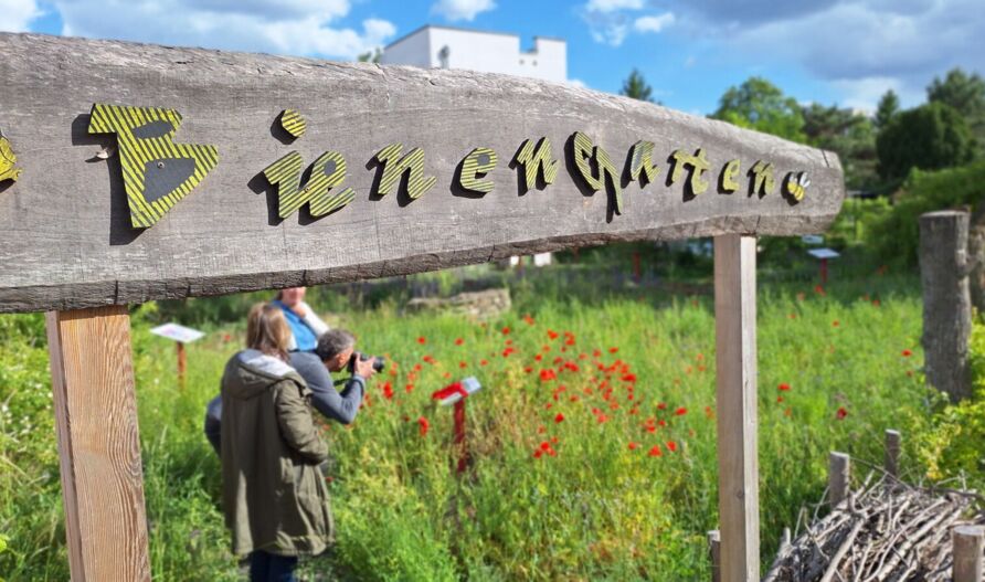 Wildbienenschaugarten Schöneweide (Berlin) in seinem 10-jährigen Jubiläumsjahr