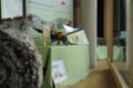 Hummel-Ausstellung des BUND Naturschutz in Bayern e.V.