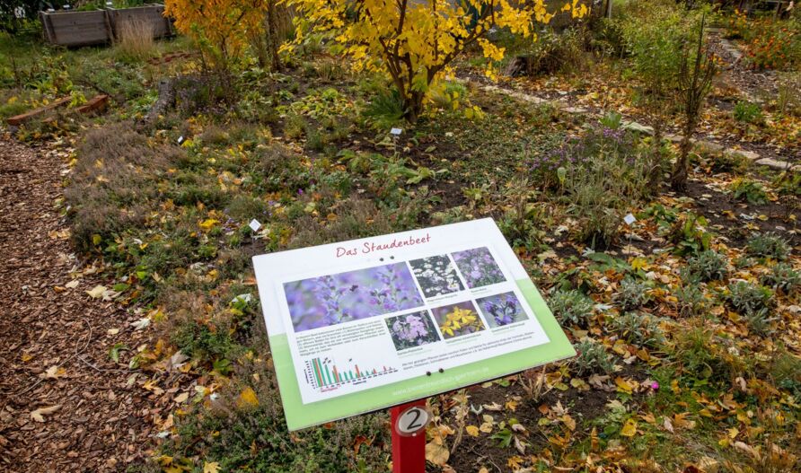 Schaugarten Treptow, Herbst 2021