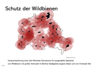 Grafik 3 zum Schutz der Wildbienen in Berlin