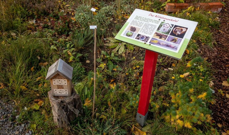 Schaugarten Treptow, Herbst 2021