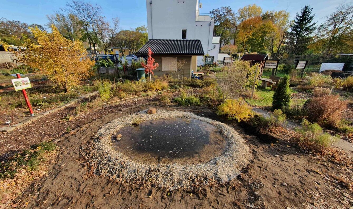 Naturgarten anlegen So wird's gemacht Deutschland summt!