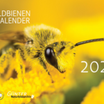 Wildbienenkalender 2023: Cover