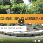 Screenshot: Video Trittsteinbiotope