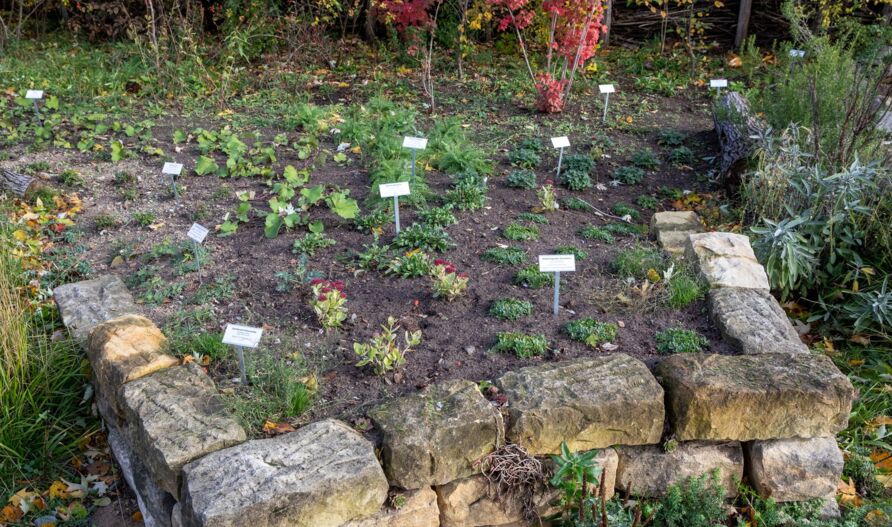 Schaugarten Treptow, Herbst 2021