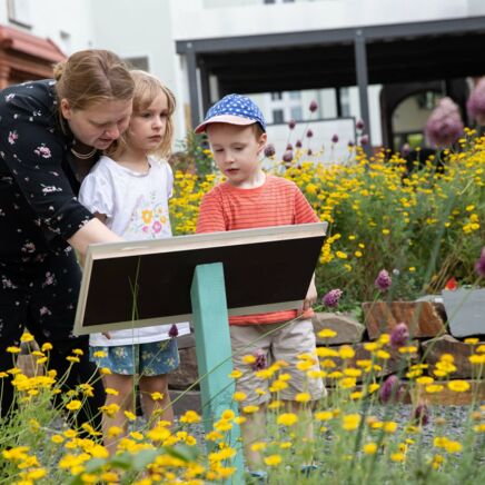 Projekt Treffpunkt Vielfalt, Einweihung Naturgarten