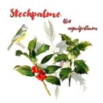 Stechpalme (Ilex aquifolium)