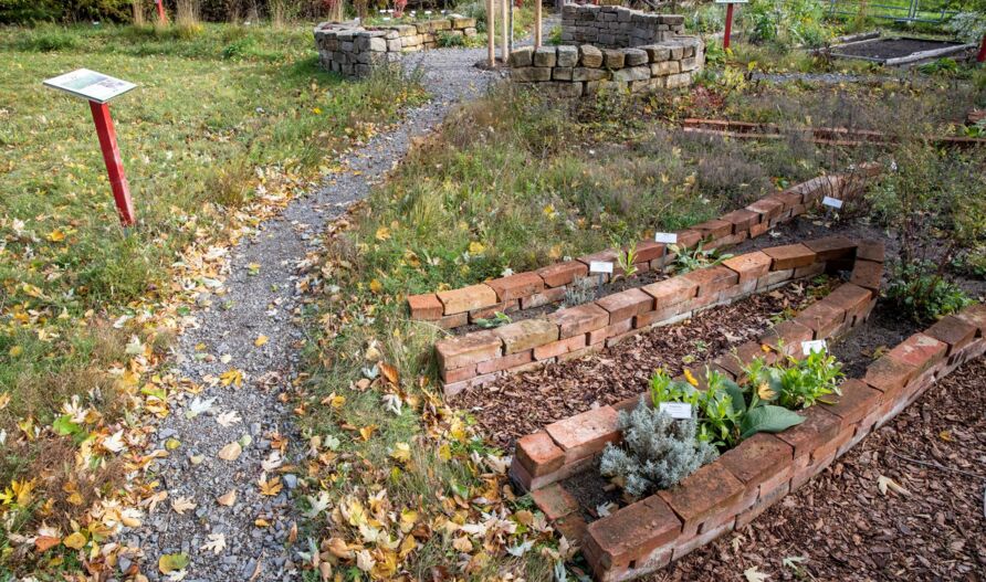 Schaugarten Treptow, Herbst 2021