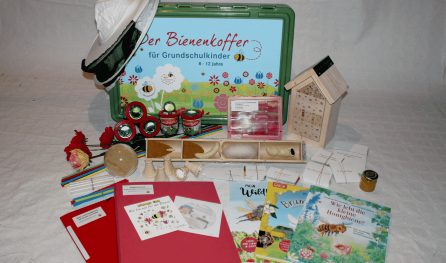 Umweltbildung für Kita- und Grundschulkinder: Materialien aus dem Bienenkoffer