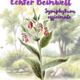 Echter Beinwell (Symphytum officinale)