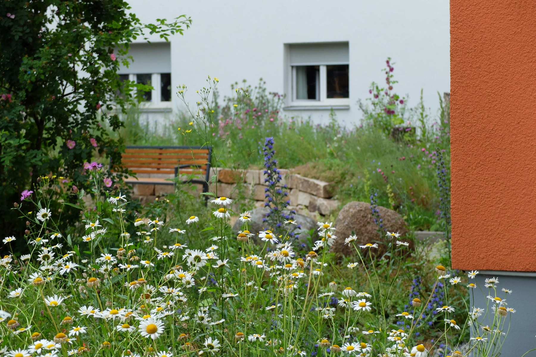 Naturgarten in Berlin-Neukölln, entstanden im Stitungs-Projekt „Treffpunkt Vielfalt“