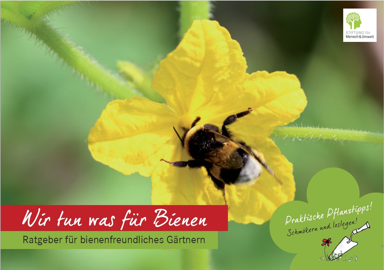Zweite Auflage unser RatgeberBroschüre zum bienenfreundlichen Gärtnern
