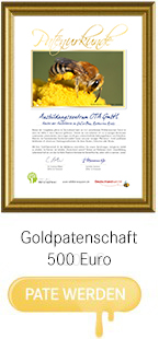 Urkunde Goldpatenschaft