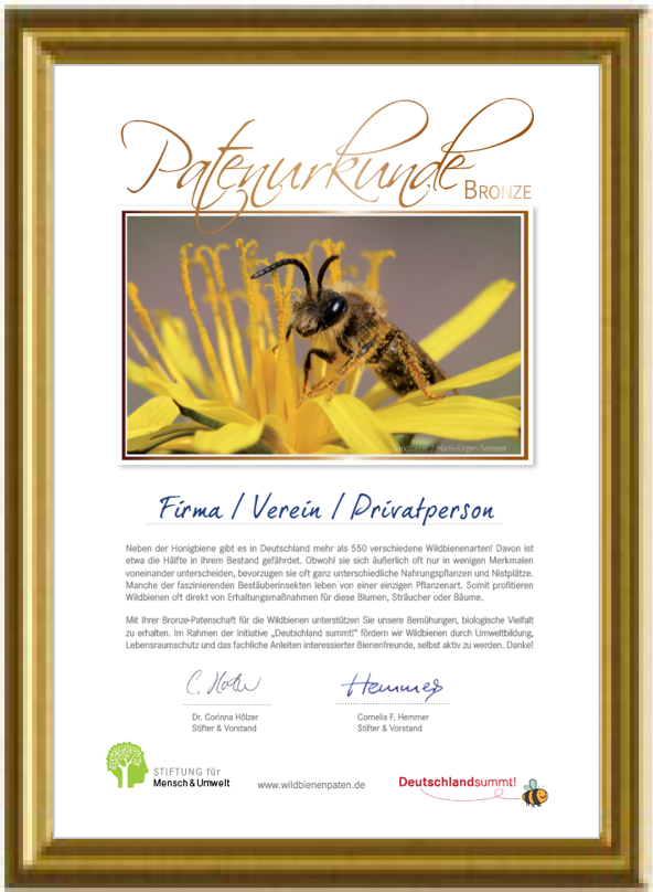Bienenpatenschaften: Patenurkunde, Bronze