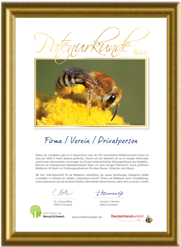 Bienenpatenschaften: Patenurkunde, Gold