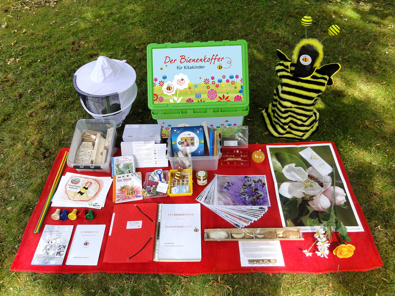 Bienenkoffer